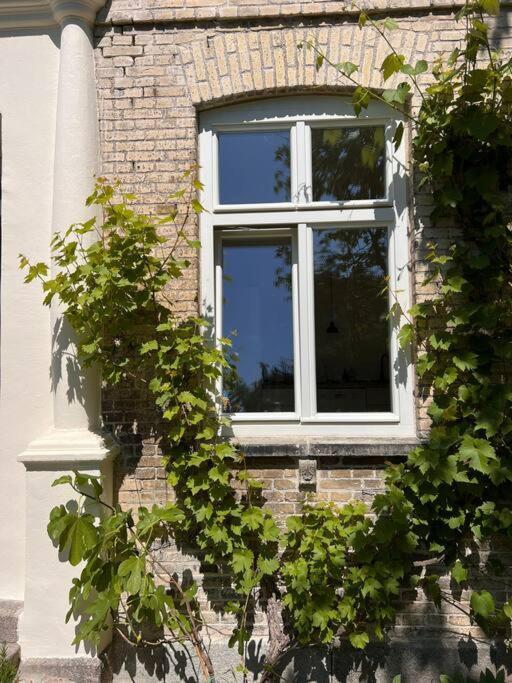 Idyllisches Appartement Nahe Ostsee Und Schlei Rabenkirchen-Faulueck Ngoại thất bức ảnh