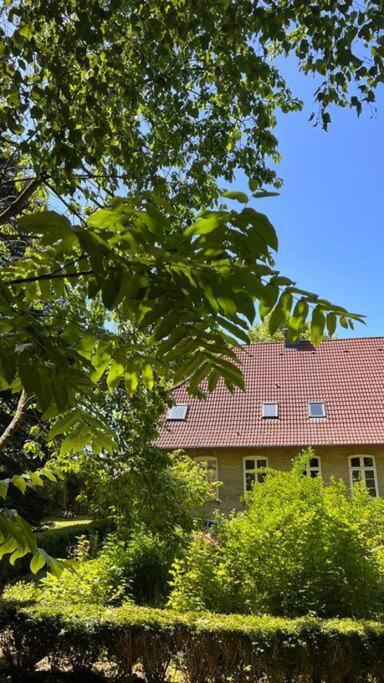 Idyllisches Appartement Nahe Ostsee Und Schlei Rabenkirchen-Faulueck Ngoại thất bức ảnh