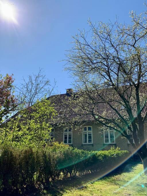 Idyllisches Appartement Nahe Ostsee Und Schlei Rabenkirchen-Faulueck Ngoại thất bức ảnh