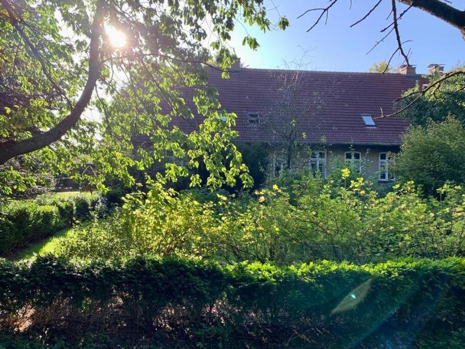 Idyllisches Appartement Nahe Ostsee Und Schlei Rabenkirchen-Faulueck Ngoại thất bức ảnh